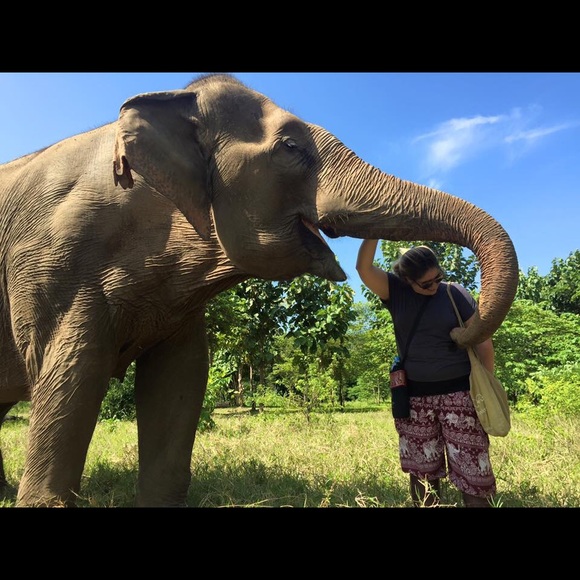 Meet Me! - Picture 4 of 4